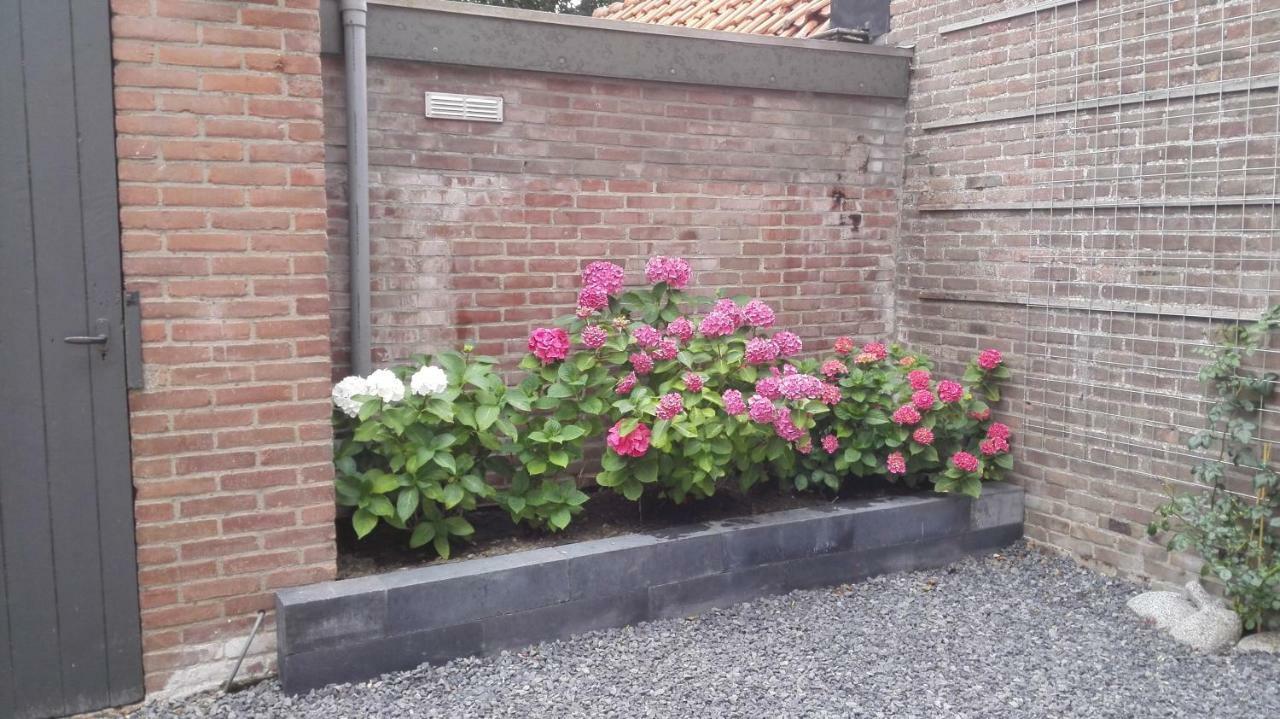 De Notenbalk Aan Zee Bed & Breakfast Vlissingen Eksteriør bilde